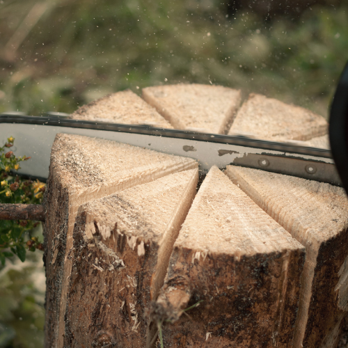 Chainsaw cutting a tree log