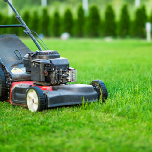 Lawn mower cutting grass